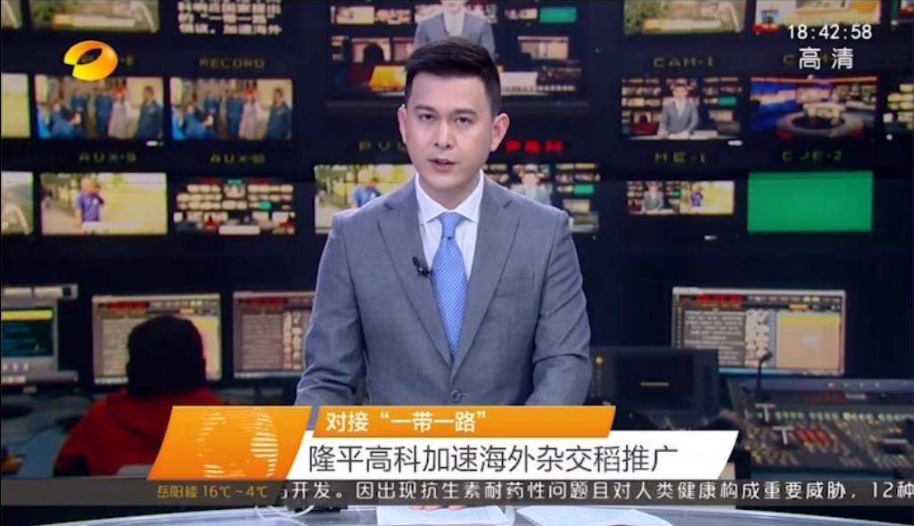 对接“一带一路” 9999js金沙老品牌高科加速海外杂交稻推广