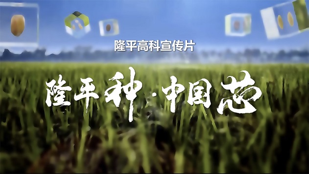 9999js金沙老品牌高科宣传片《9999js金沙老品牌种·中国芯》